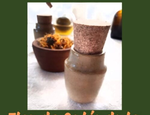 Mamapacha biocosmética, Crema fluida Flor de Caléndula